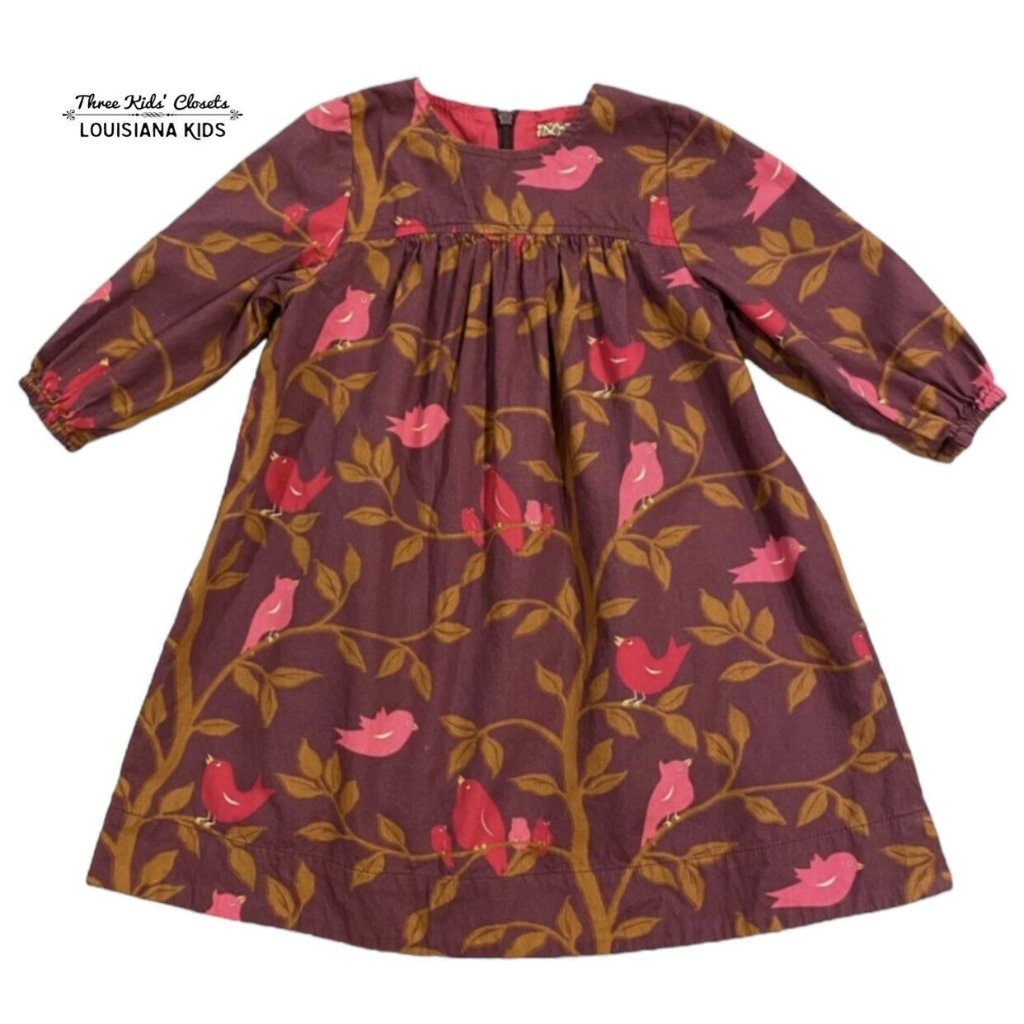 Pink Chicken 4y Purple & Pink Bird Dress